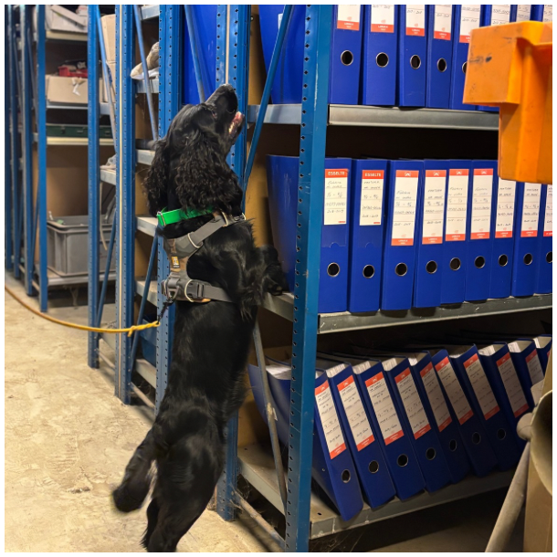 NW kursus - De hje kilder og de ttte kilder - Sndag d. 4. januar 2026 - Hillerd