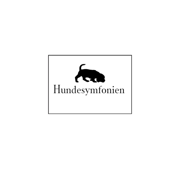 Nose work begynder hold - torsdag d. 13/8 kl. 9.30 - 11.30