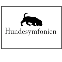 Mental teori tr�ning (Minddog) - start d. 3 november 2026 - betaling i 2. rater (1. rate)