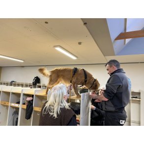 NW Patrick Petersen fra Holland - 26 og 27 september 2026 - betaling i 2 rater.