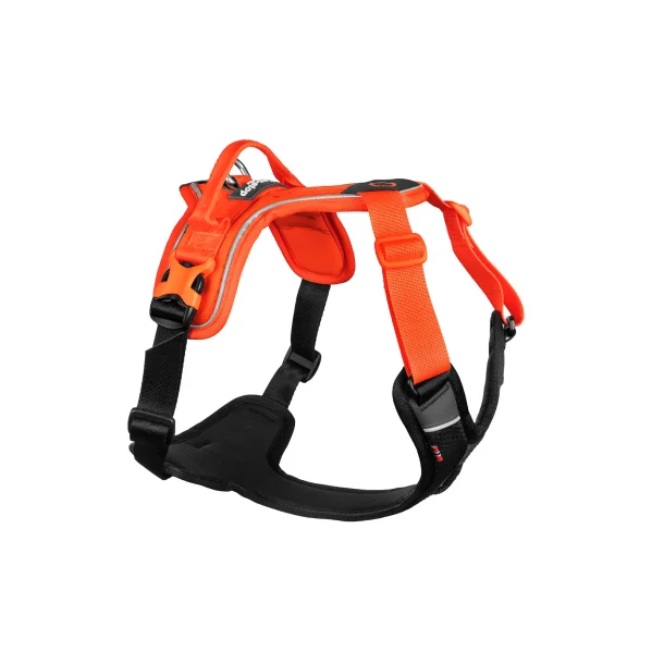 Non-stop Ramble harness sele - orange/sort
