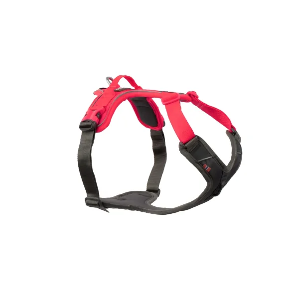 Non-stop Ramble harness sele - pink/gr
